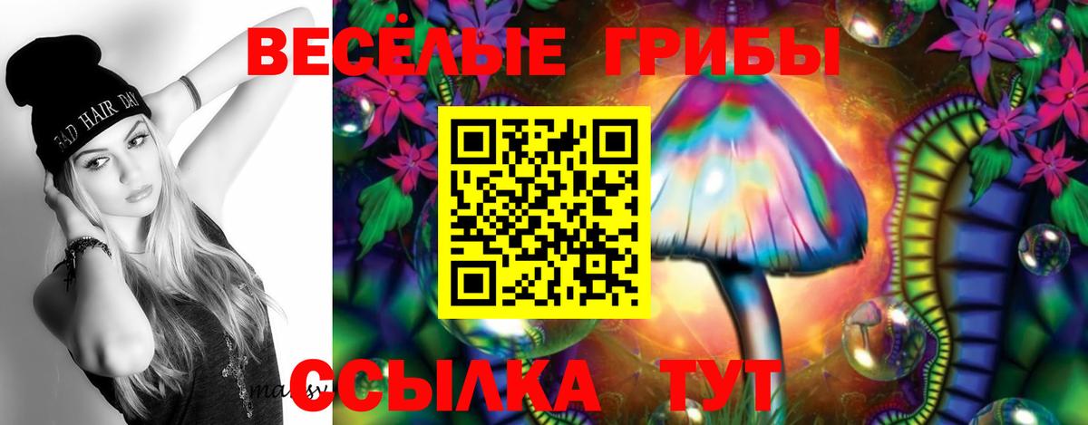 Галлюциногенные грибы MAGIC MUSHROOMS Ростов-на-Дону